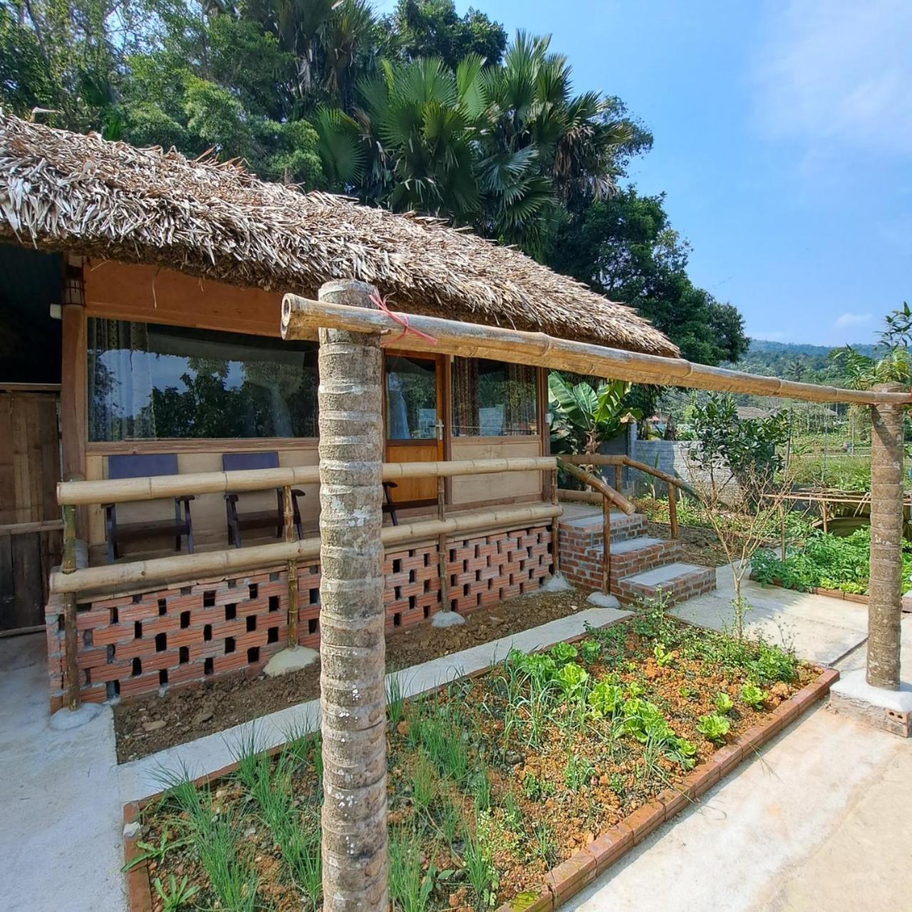 Homestay Field - Bungalow, Ha Giang Loop Tour, Motorbikes Rental Exterior foto