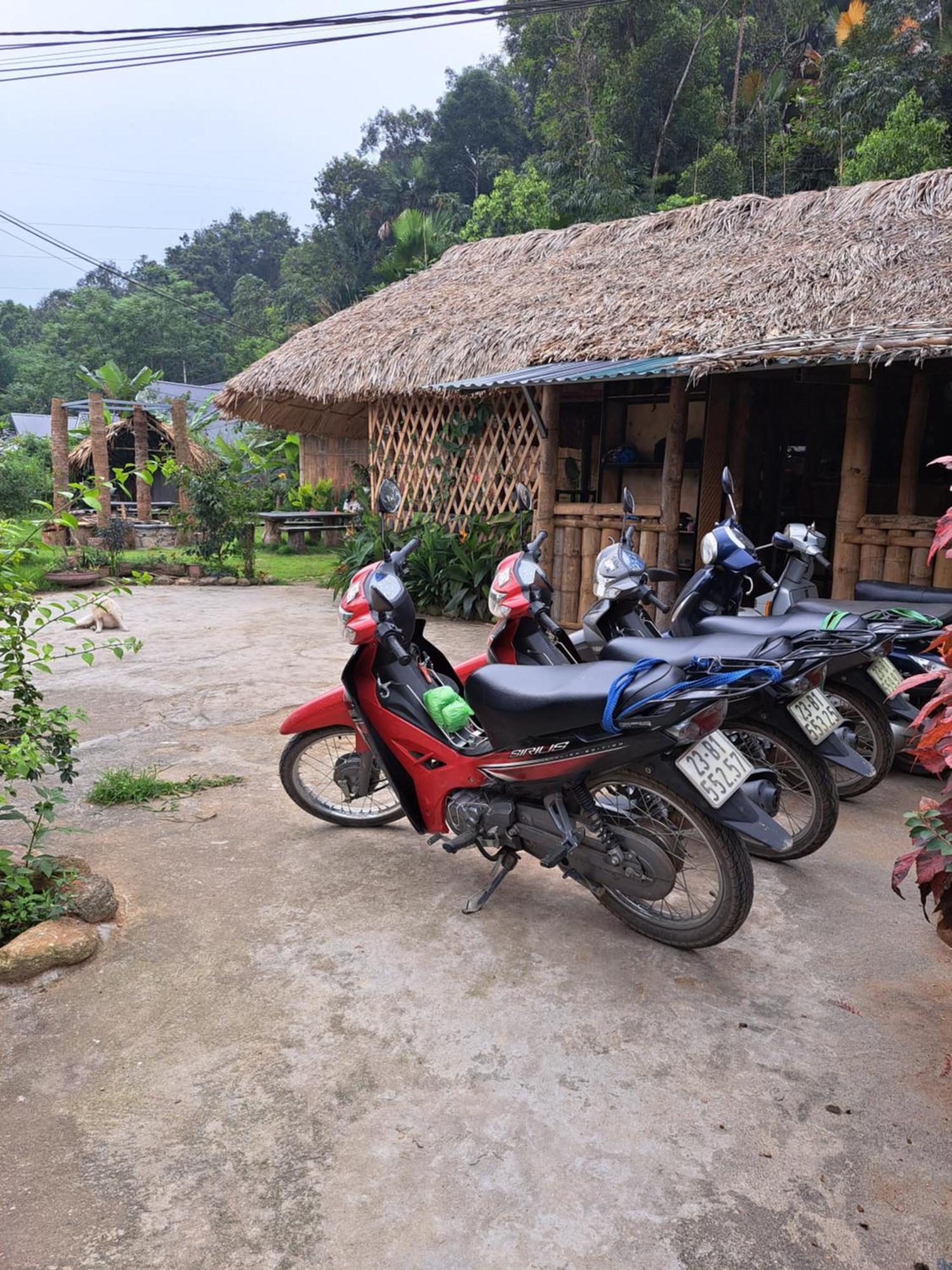 Homestay Field - Bungalow, Ha Giang Loop Tour, Motorbikes Rental Exterior foto