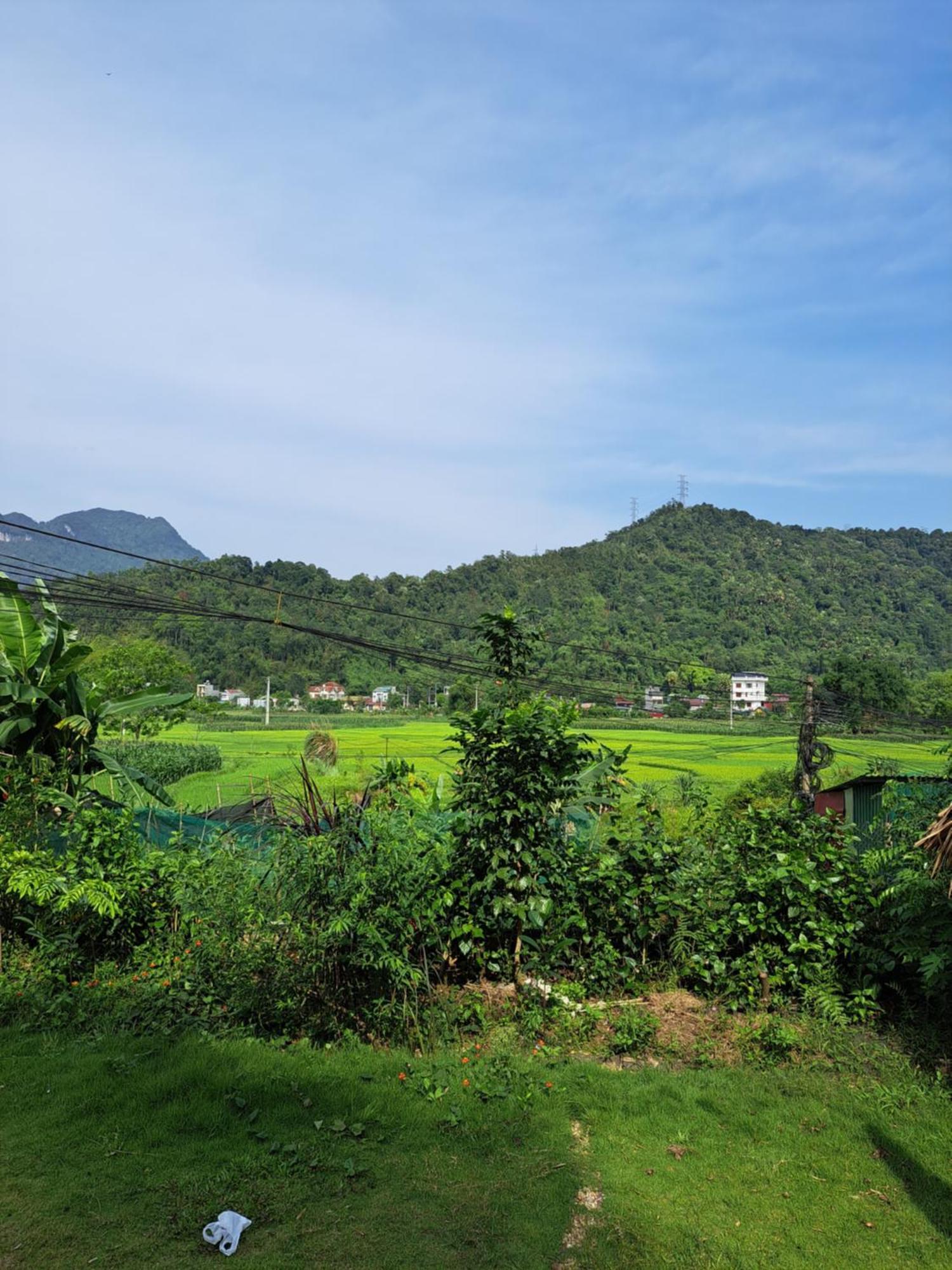 Homestay Field - Bungalow, Ha Giang Loop Tour, Motorbikes Rental Exterior foto