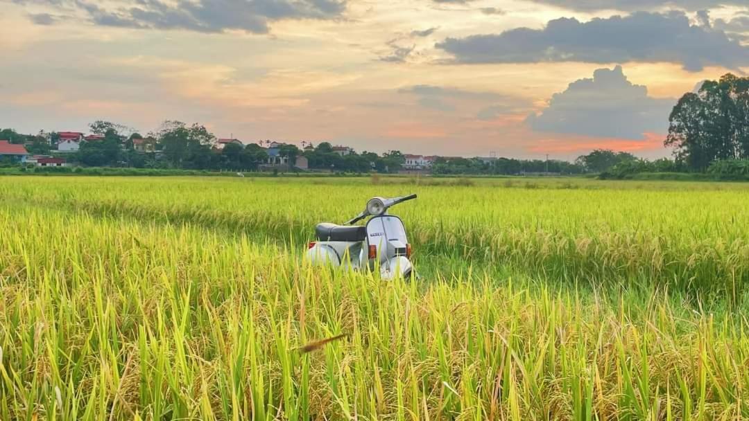 Homestay Field - Bungalow, Ha Giang Loop Tour, Motorbikes Rental Exterior foto