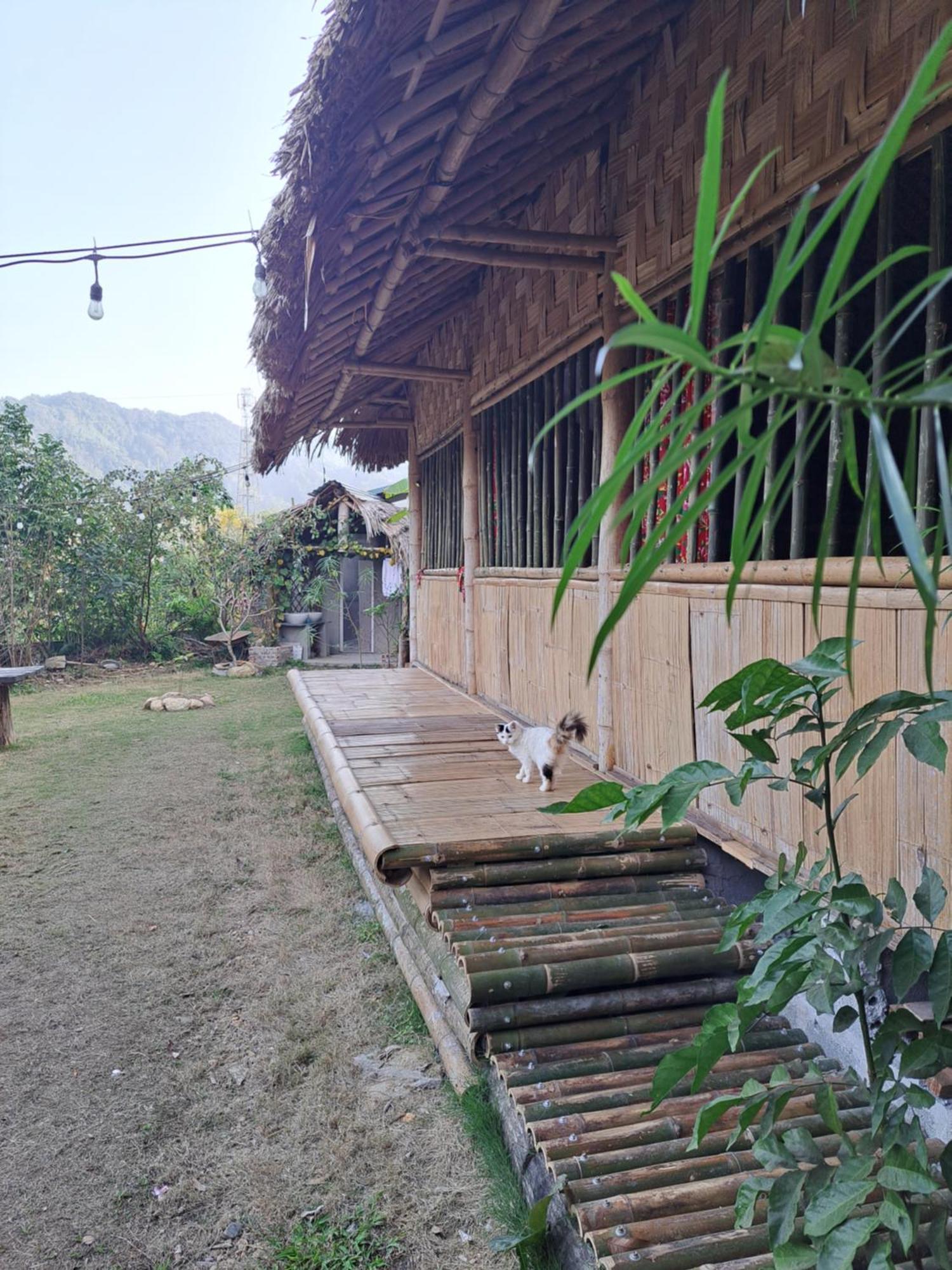 Homestay Field - Bungalow, Ha Giang Loop Tour, Motorbikes Rental Exterior foto