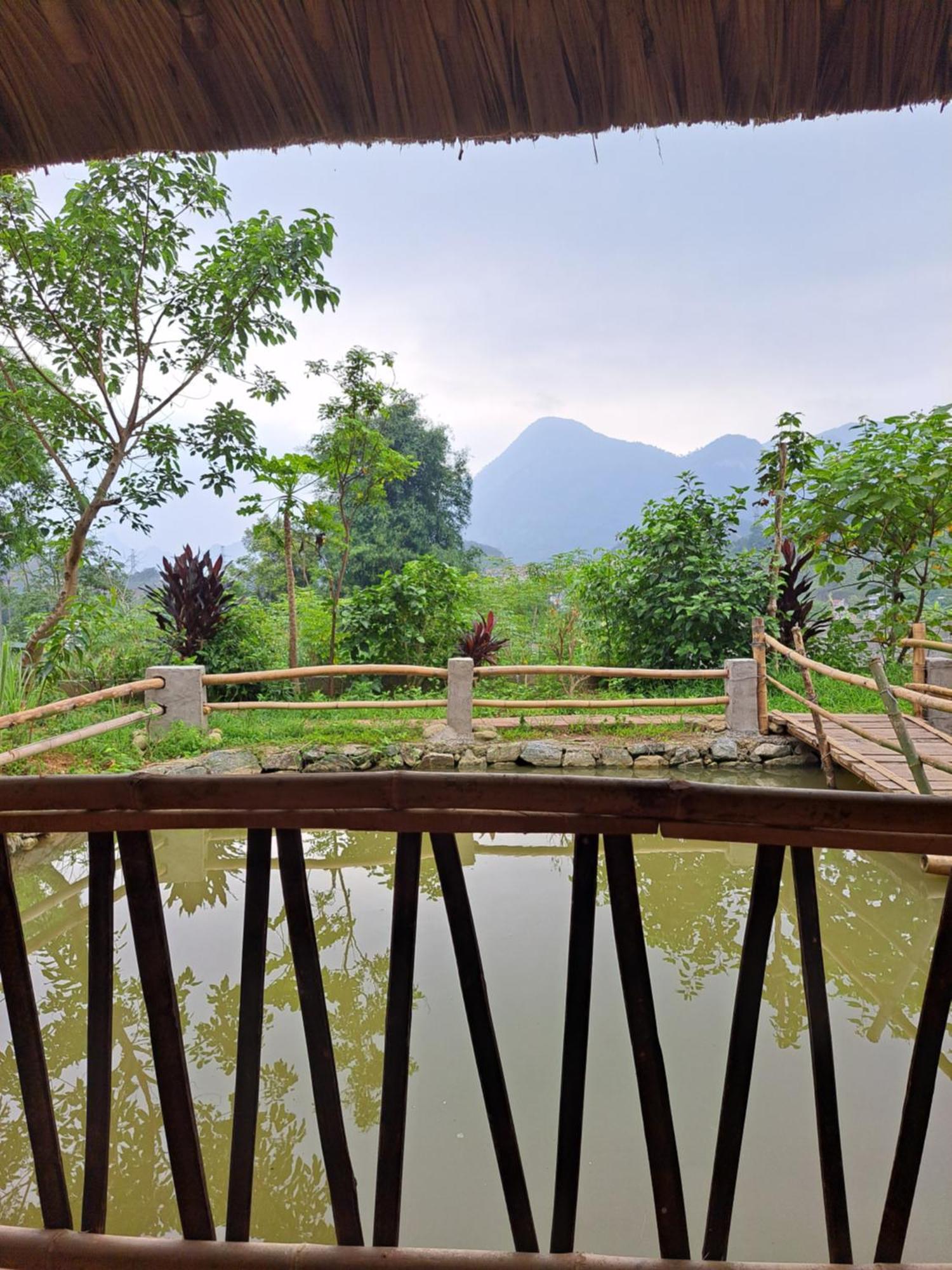 Homestay Field - Bungalow, Ha Giang Loop Tour, Motorbikes Rental Exterior foto