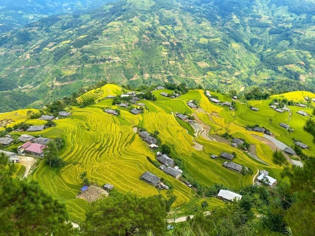 Homestay Field - Bungalow, Ha Giang Loop Tour, Motorbikes Rental Exterior foto